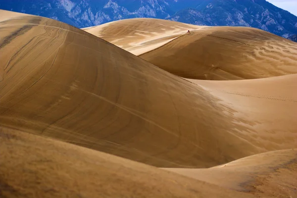 Marche dans les dunes de sable — Photo