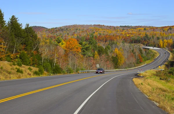 Couleurs de feuillage automne — Photo