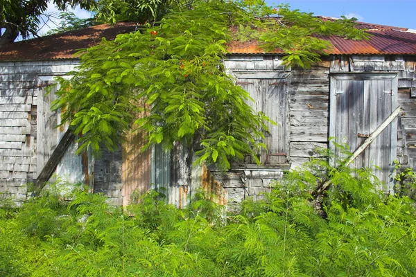 Tropisk arkitektur — Stockfoto