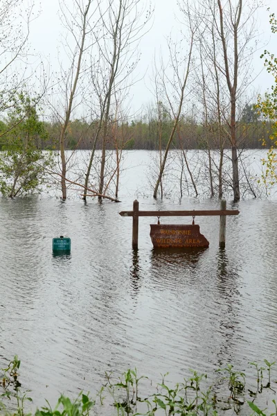 Overstromingen in midwest — Stockfoto