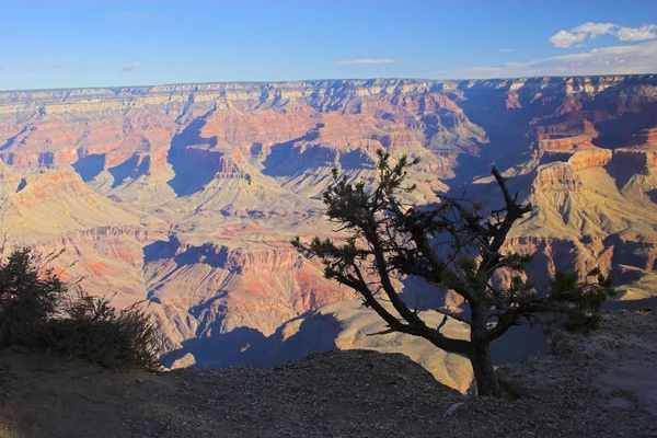 Grand Canyon — Stockfoto