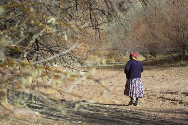 Canyon de Chelle — Stockfoto