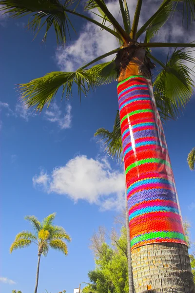 Palmera festiva —  Fotos de Stock