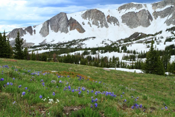 Hegyi táj, a Wyoming — Stock Fotó