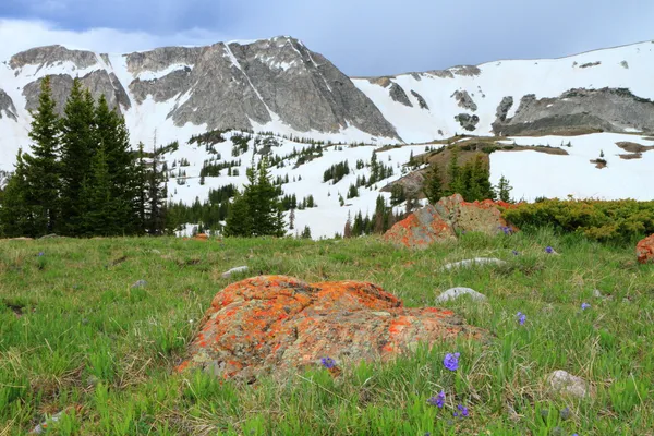 Paisagem montanhosa de Wyoming — Fotografia de Stock