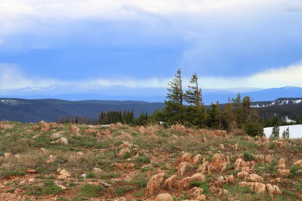 Terreno roccioso del Wyoming — Foto Stock