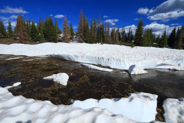 Derretendo neve nas montanhas — Fotografia de Stock