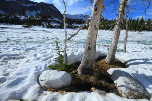 Derretimiento de nieve en las montañas —  Fotos de Stock