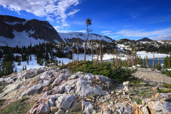 Rotsachtig terrein van wyoming — Stockfoto