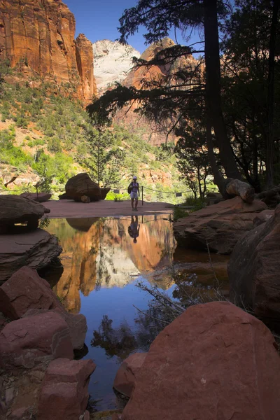 Scenic hikers — Stock Photo, Image