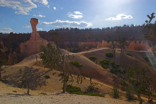 Roccia rossa di Bryce — Foto Stock