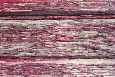 çeşitli arkaplanlar