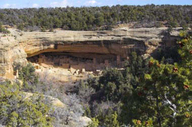 Mesa Verde