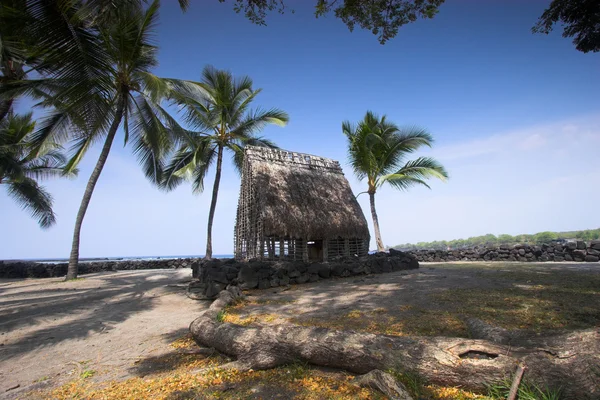 Palmen und alter Tempel — Stockfoto