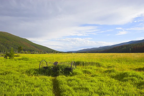 Paesaggio agricolo arboricolo — Foto Stock