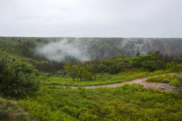 Gunnison nationalparken gorge — Stockfoto