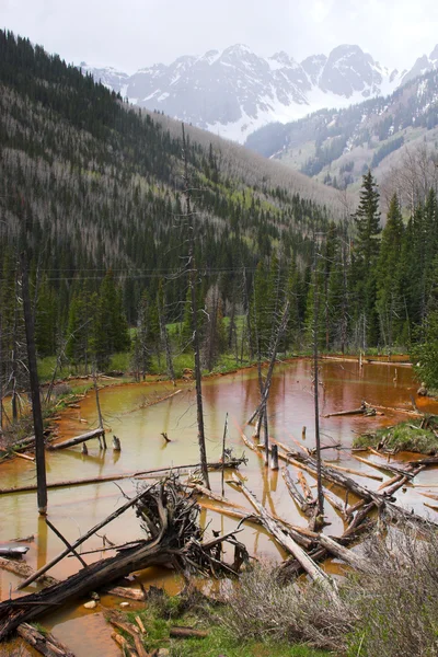 Marshland and mountains — Stock Photo, Image