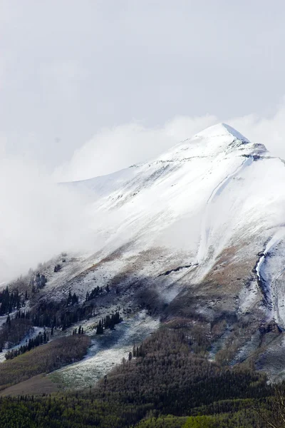 Berggipfel — Stockfoto