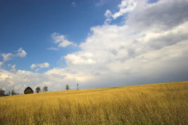 Ländlicher Raum — Stockfoto