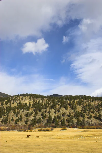 Mountain landscapes — Stock Photo, Image