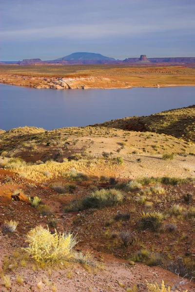 Grand Canyon — Stock fotografie