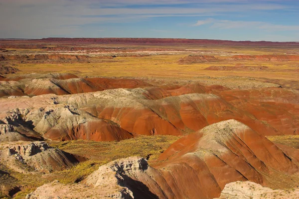 Deserto dipinto — Foto Stock