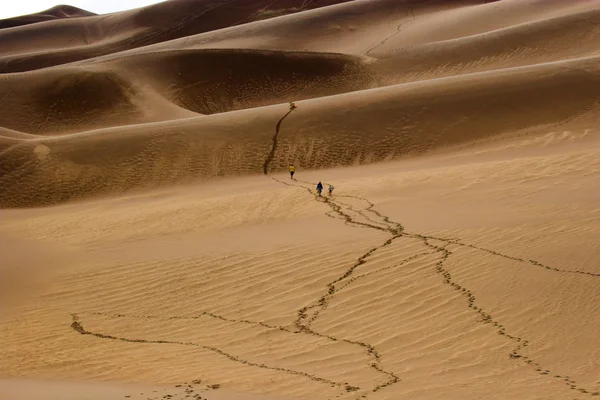 Promenader i sanddyner — Stockfoto