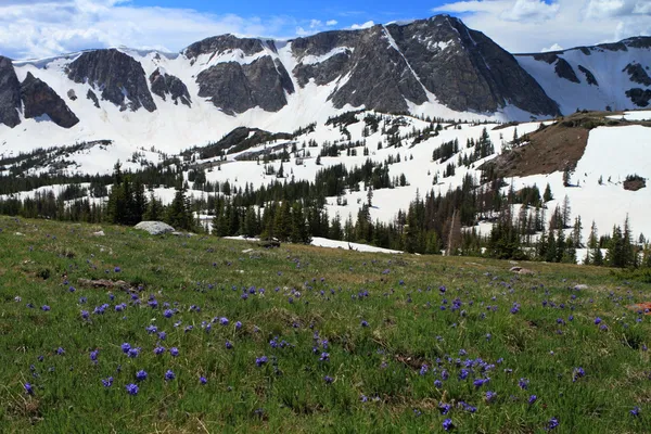 Hegyi táj, a Wyoming — Stock Fotó