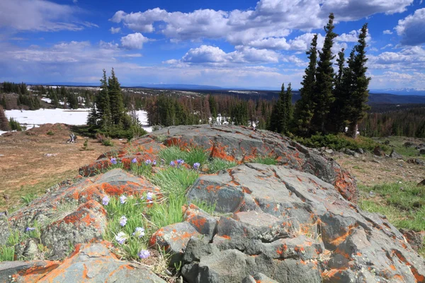 Skalnatý terén Wyoming — Stock fotografie