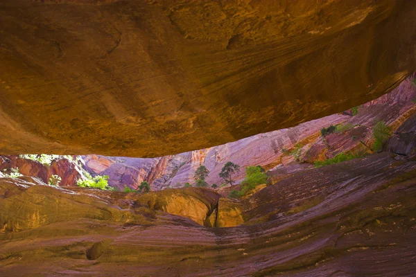 Zion national park — Stok fotoğraf