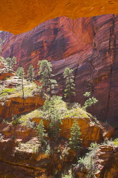 Zion national park — Stok fotoğraf