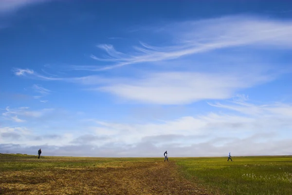 Tundra içinde — Stok fotoğraf