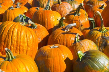 Helloween kabak
