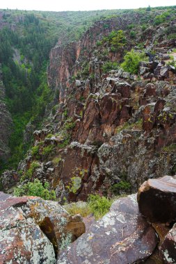 Gunnison Milli Parkı gorge