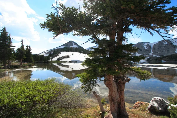 Mountain landscape — Stock Photo, Image