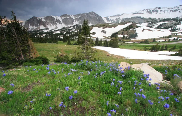 Mountain landscape — Stock Photo, Image