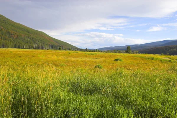 Automne dans les montagnes — Photo