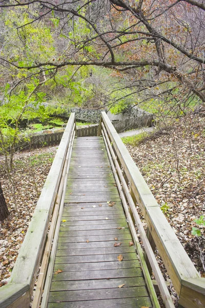 Pasarela de madera — Foto de Stock