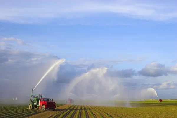 Traktor menyiram tanaman — Stok Foto