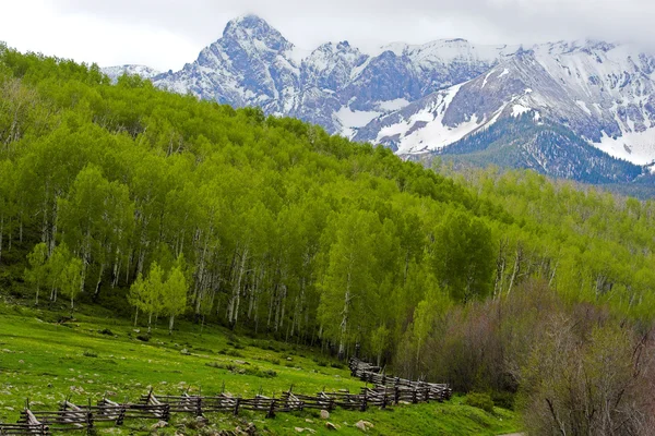 Гірський пейзаж і паркан — стокове фото