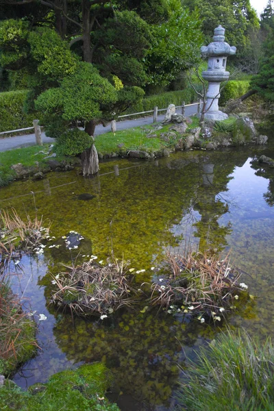 池塘 — 图库照片