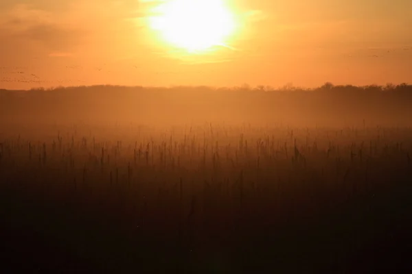 Solnedgång — Stockfoto