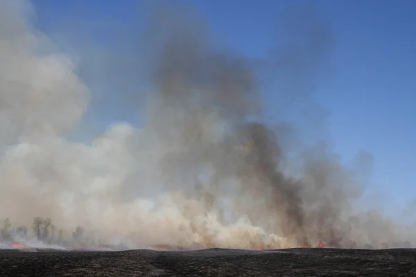 Prairie Fire — Stok fotoğraf