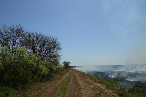 Prairie Fire — Stok fotoğraf