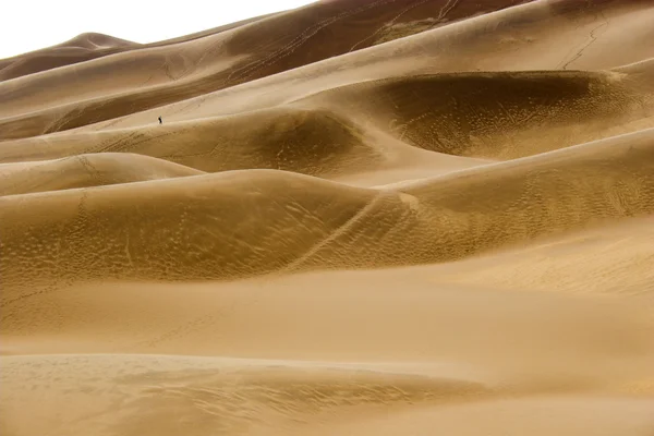 Caminando en dunas de arena —  Fotos de Stock