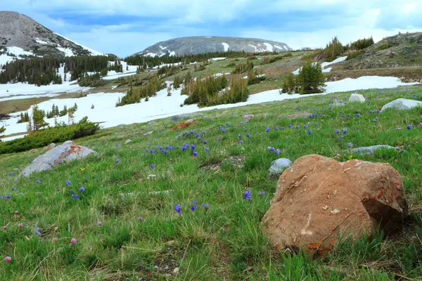 Hegyi táj, a Wyoming — Stock Fotó