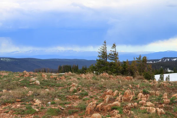 Rotsachtig terrein van wyoming — Stockfoto