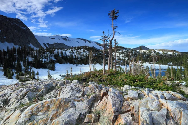 Rotsachtig terrein van wyoming — Stockfoto