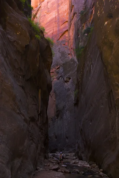 Wanderer im Canyon — Stockfoto