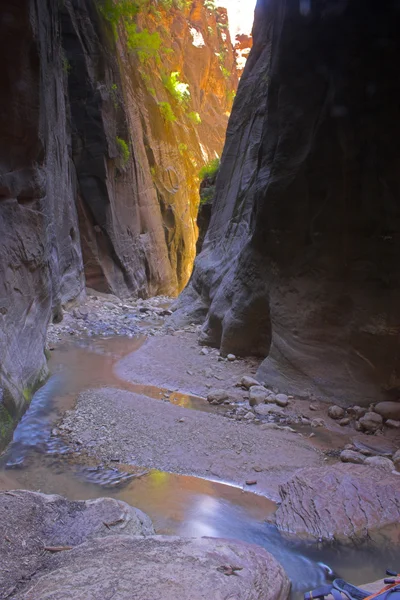 Insenature e fiumi del canyon — Foto Stock